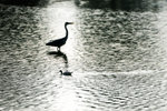 IMG_0001-01