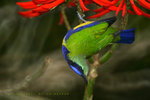 IMG_0790-90