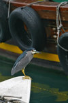 IMG_2769-69