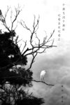 IMG_3172-72
