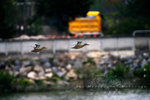 IMG_4576-76
