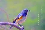 IMG_6252-52