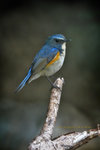IMG_6289-89
