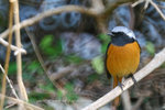 IMG_6340-40
