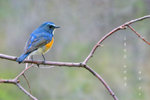 IMG_6678-78