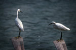 IMG_8968-68