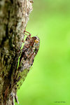
IMG_5610_10