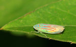 
IMG_9302-02