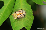 
IMG_0609-09