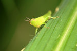 IMG_3809-cc