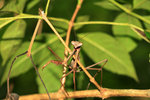 IMG_4102-cc