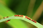 IMG_9261-61