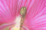 IMG_9575-75