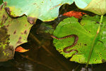 IMG_9607-07