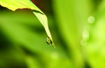 IMG_0333-33