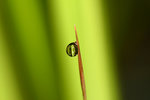 IMG_0614-14