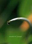 IMG_2428-28