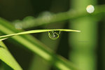 IMG_5266-66