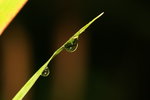 IMG_5270aa