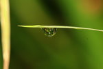 IMG_5277aa
