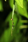 IMG_5306aa
