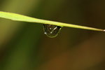 IMG_5356-aa