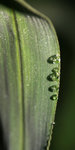 IMG_5370