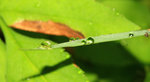 IMG_5378-78