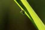 IMG_5408-aa