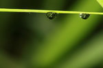 IMG_5410-aa