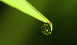IMG_9013-13
