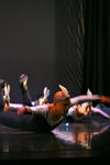 IMG_1386-86