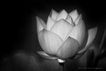 IMG_7469-69