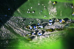 IMG_7490-90