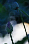 IMG_8931-31