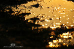 IMG_4166-66