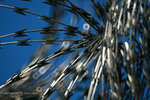 IMG_7791-91