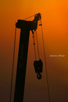 IMG_7847-47