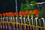 IMG_9002-02