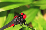 IMG_5885-cc
