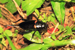 IMG_5898-bb