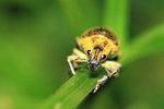 IMG_5914-bb