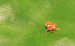 IMG_5924-bb