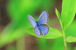 IMG_5964-64