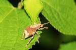 IMG_5990-bb