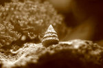 IMG_2954-54