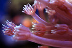 IMG_3146-46