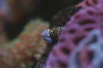 IMG_3156-56