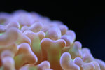 IMG_3172-72