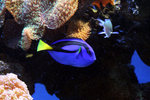 IMG_3190-90